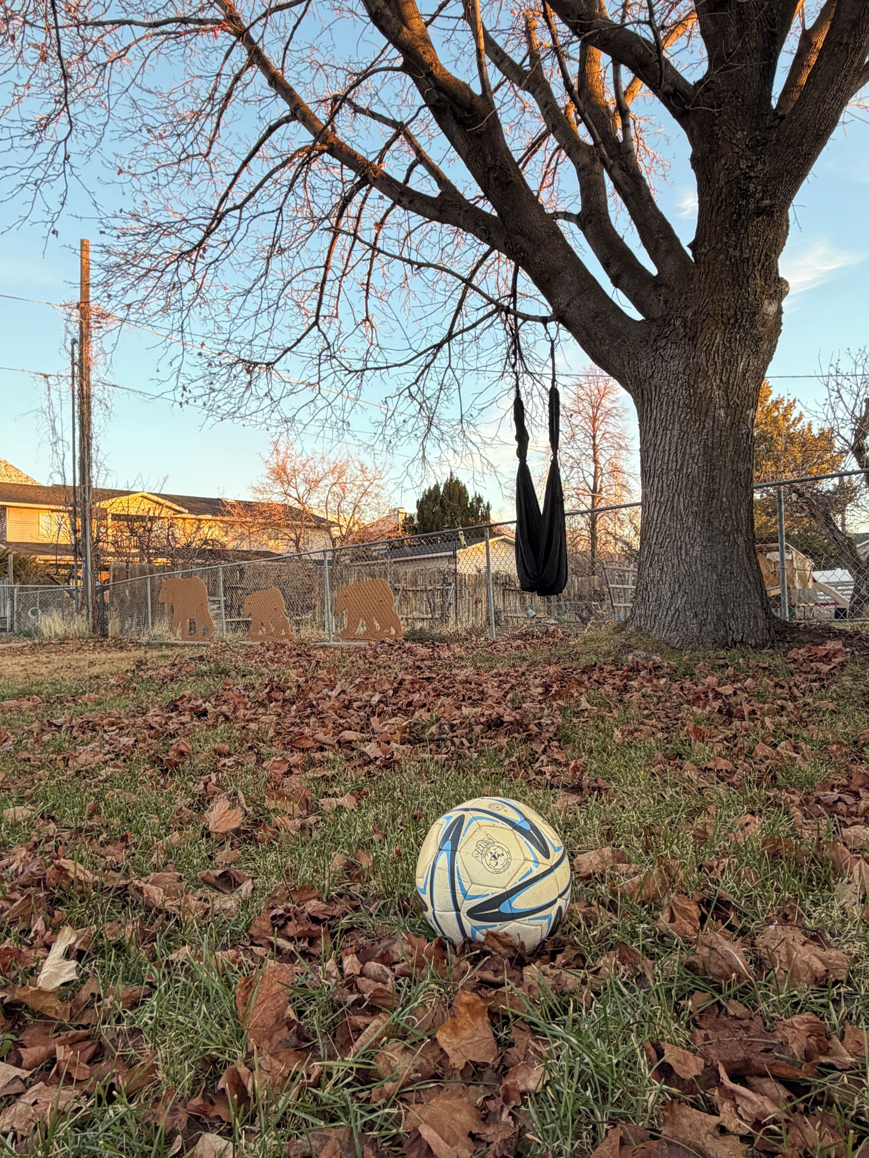 Property grounds