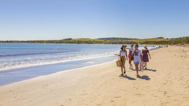 Une plage de sable où des gens se promènent le long du rivage.