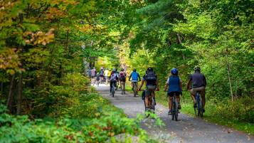 Een groep fietsers op een verhard pad, omringd door weelderige groene begroeiing.