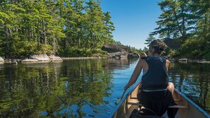 A person in a canoe on a calm river surrounded by dense forest.