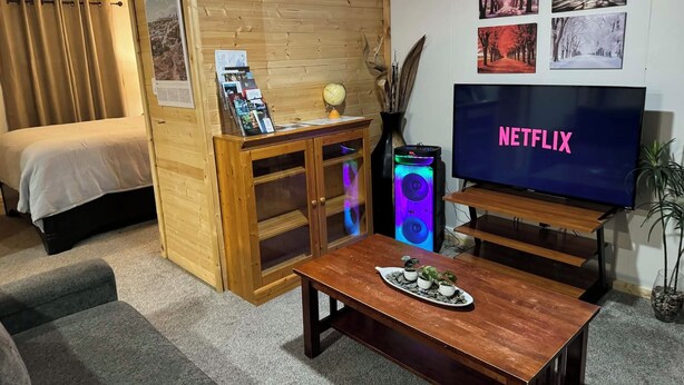 Une pièce chaleureuse avec un lit, un bureau en bois sur lequel se trouve un globe terrestre, un téléviseur affichant le logo « NETFLIX », et une table basse agrémentée de plantes.