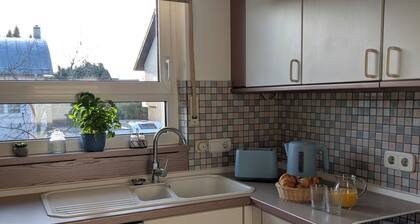 Directly at the spa gardens Holiday apartment in the heart of Bad Rappenau with balcony and garden