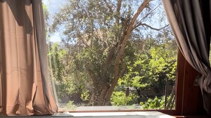 A hot tub with a view of trees and a wooden ceiling. - Luxury House 'Apulia' with Wi-Fi (Toritto)