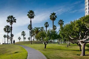 Golf - Oceanview Penthouse Luxury Stay Steps To the Beach (Santa Monica)