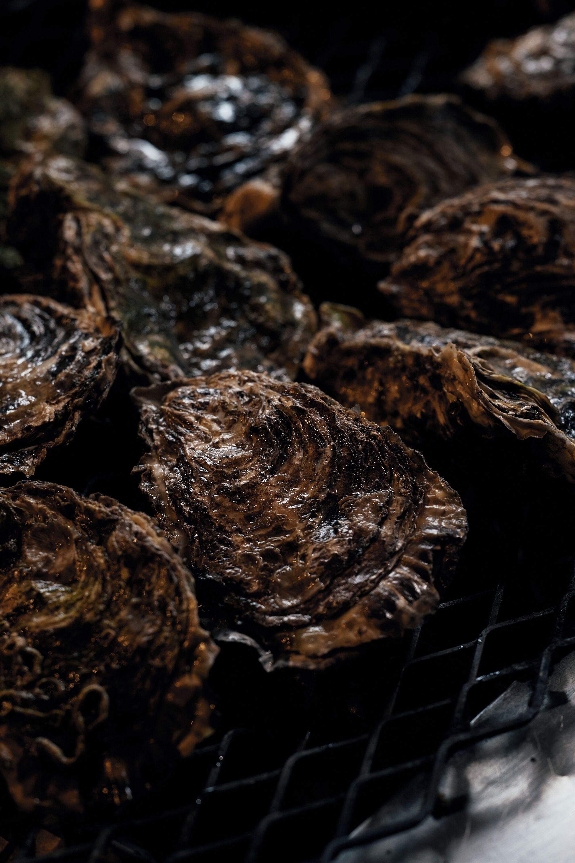 A close-up of oysters on a wire rack.