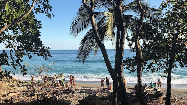 Une plage bordée de palmiers où les gens se détendent.