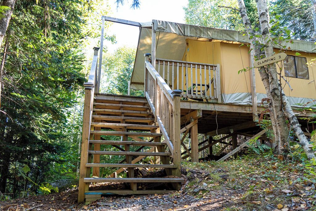 A wooden cabin with a staircase leading to a deck, surrounded by dense forest.
