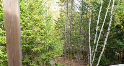 Safari Glamping Tent | Forest Retreat & Hot Tubs!