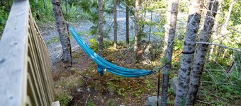 Safari Glamping Tent | Forest Retreat & Hot Tubs!