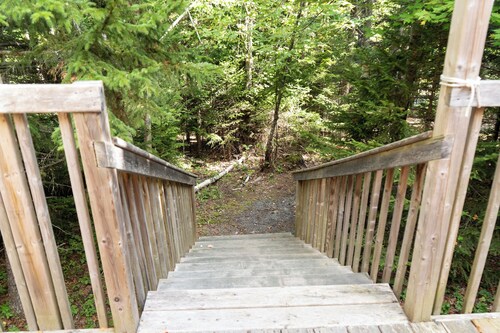 Bell Glamping Tent | Forest Retreat & Hot Tubs!