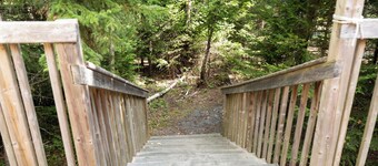 Bell Glamping Tent | Forest Retreat & Hot Tubs!