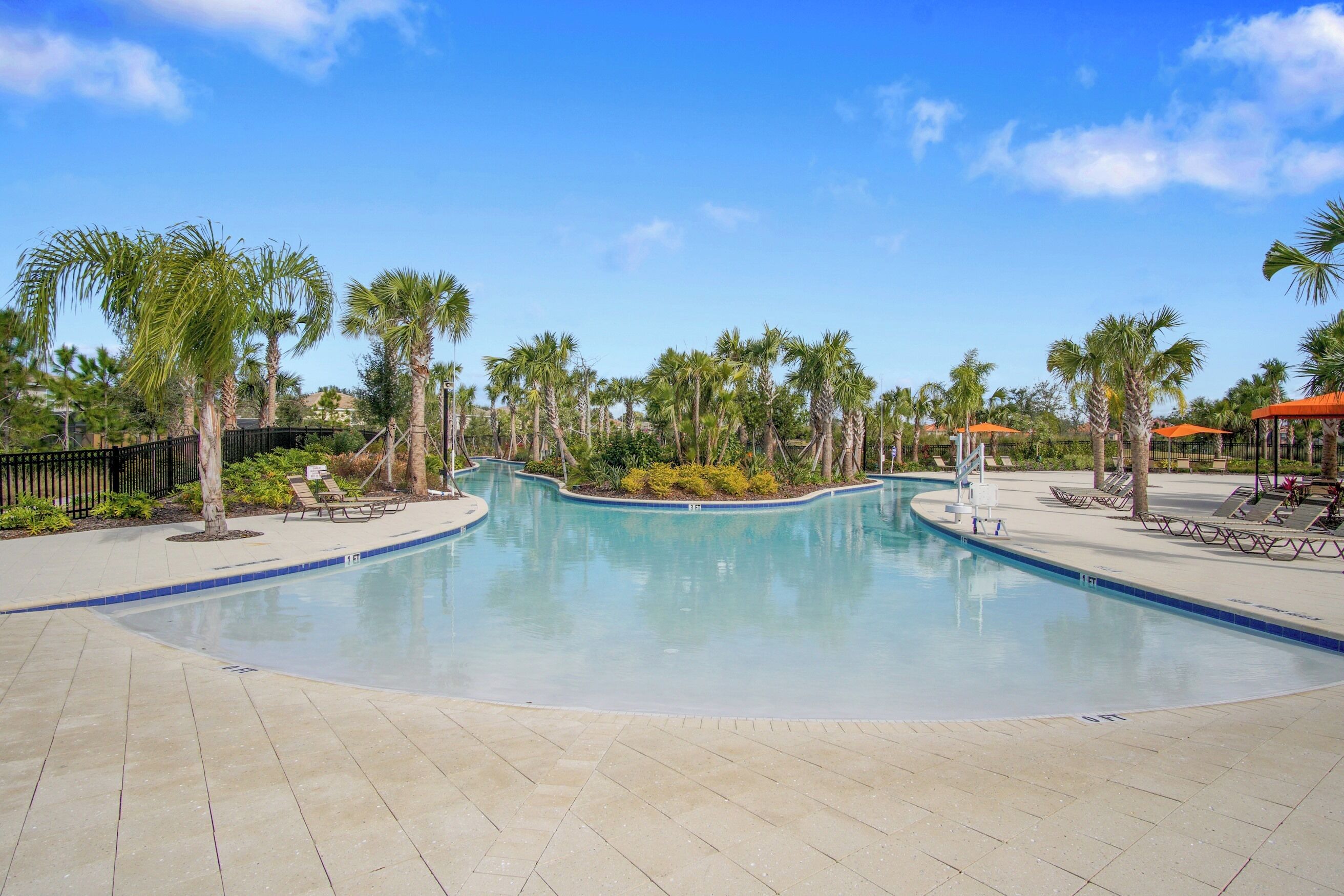 A swimming pool with lounge chairs and palm trees.