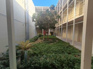 Ein Innenhof mit einem zentralen Baum, umgeben von Grünpflanzen und einem Gebäude mit mehreren Balkonen.