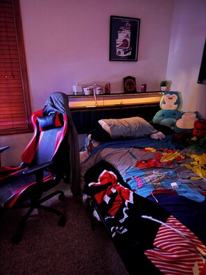 Iron/ironing board, WiFi, bed sheets -  4-bedroom house in Dublin close to ,zoo shopping,restaurant,airport ,5 star (Dublin)