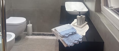 Shower, hair dryer, bidet, towels