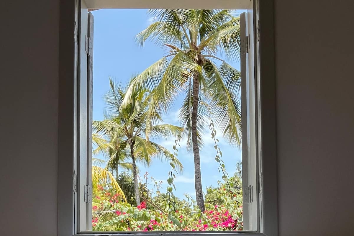 Habitación Deluxe con 2 camas individuales | Wifi gratis