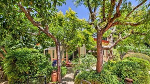 Un jardin luxuriant avec une piscine, entouré d’arbres et de différentes plantes.