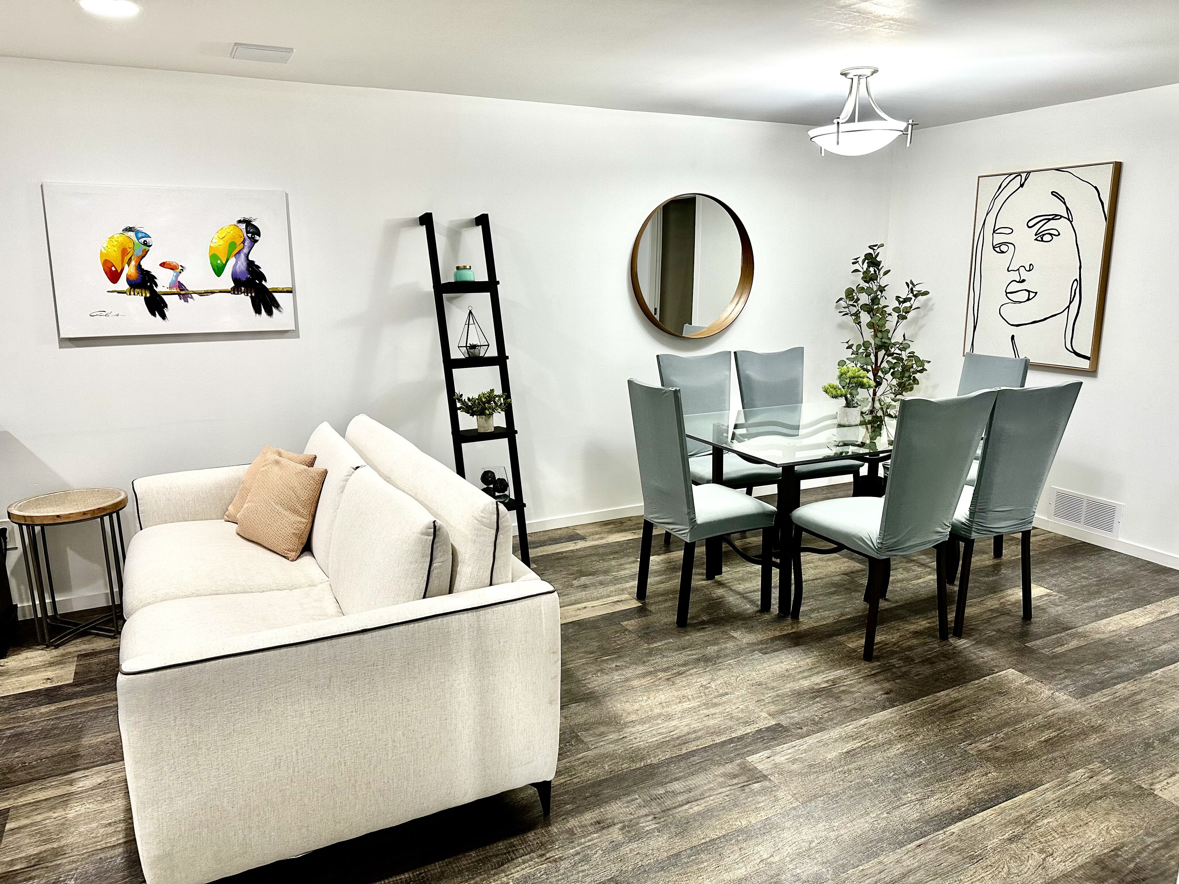 TV connectée, cheminée, livres