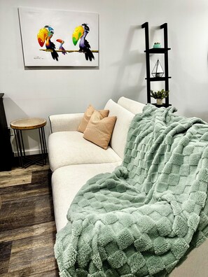 Smart TV, chimenea y libros