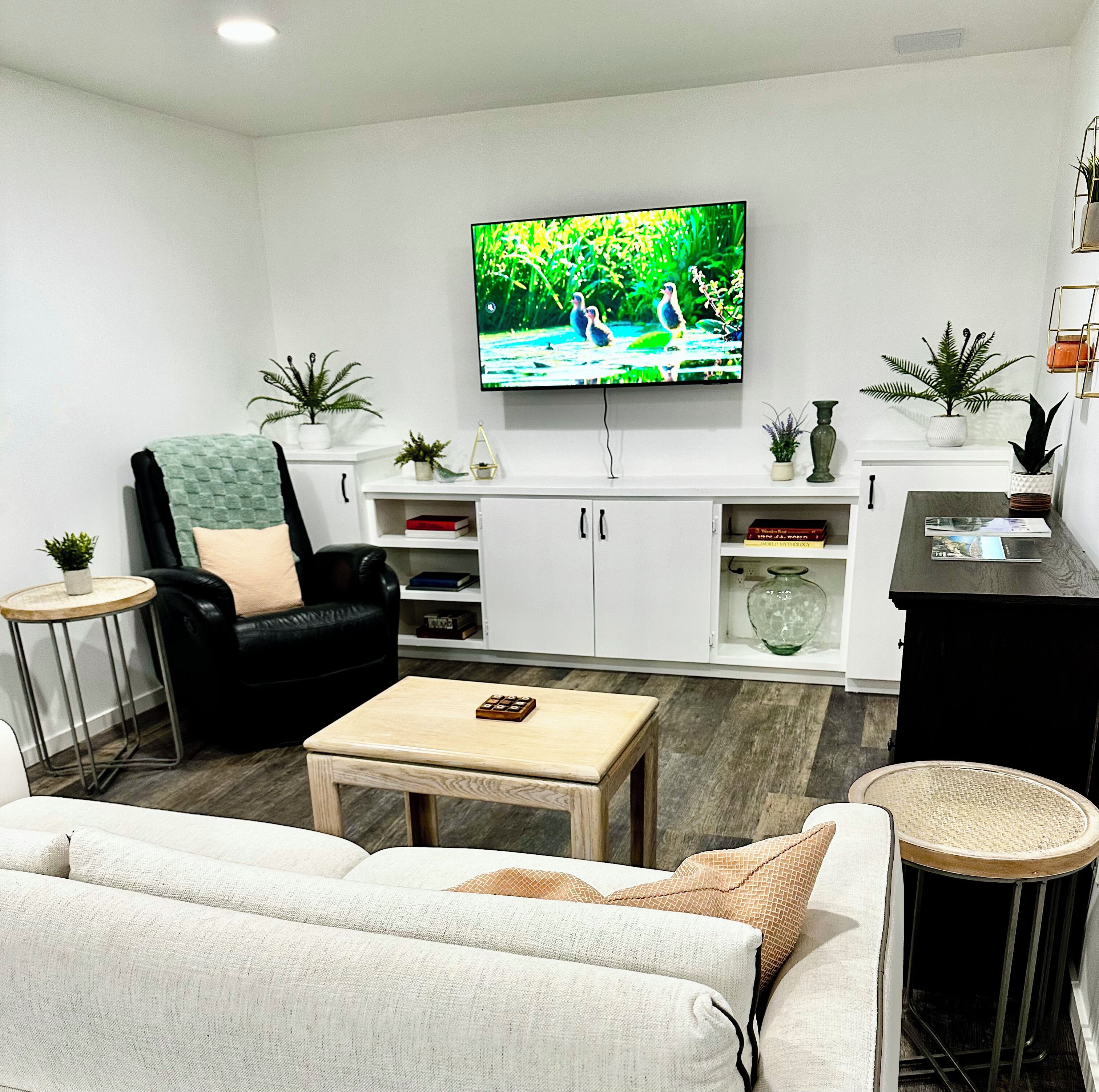 Smart TV, lareira, livros