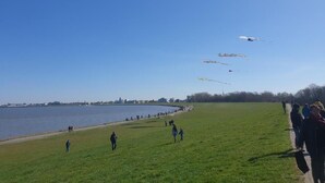 A grassy field with a body of water and a distant city skyline.