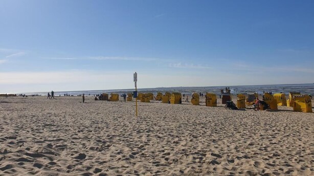 A sandy beach with yellow lifeguard stands and a clear blue sky.