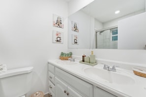 Shower, hair dryer, soap, toilet paper