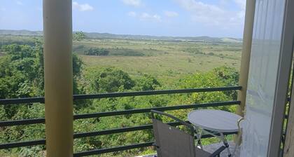 Lovely 1-bedroom with AC in Historic Amity Hal