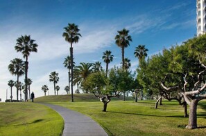 Golf - Luxurious & Spacious 1Bed 1Bath Apt In Santa Monica (Santa Monica)