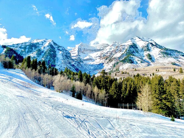 A snow-covered mountain landscape with ski trails and trees. - Newly Remodeled A-Frame 5 min drive to Sundance (Sundance)
