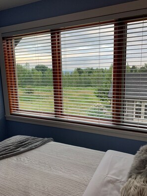 Iron/ironing board, Internet, bed sheets - The Owls Nest Est. 2024 (Maple Ridge)