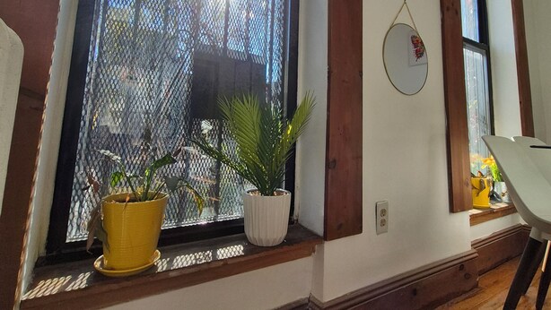 A room with a large window, a potted plant, and a mirror on the wall.