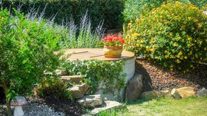 Un jardín con una mesa de piedra circular rodeada de plantas y flores.