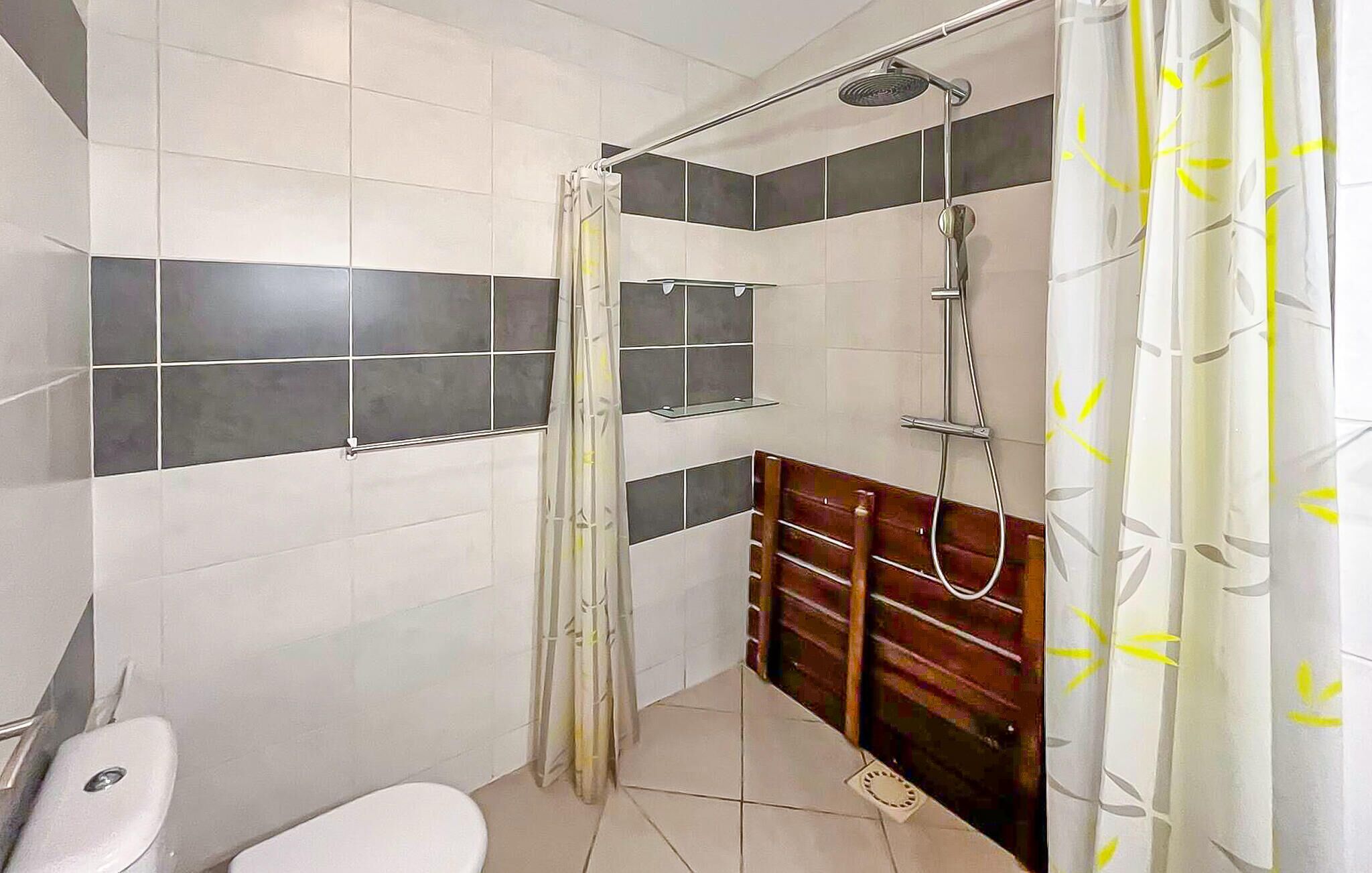 A bathroom with a shower, toilet, and a vanity with a mirror.