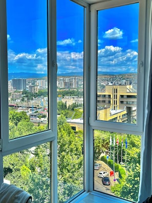 Vista desde una ventana sobre un paisaje urbano con edificios, árboles y cielo despejado.