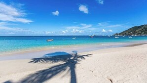 Une plage avec une eau d’un bleu limpide, des bateaux et un palmier.