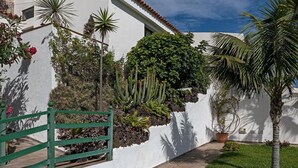 A white building with a green gate, a paved pathway, and various plants including cacti and palm trees. - Apartments inside of banana plantation with ocean view Terrazas Malpaís (Garachico)