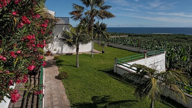 A coastal property with a white building, palm trees, and a view of the ocean. - Apartments inside of banana plantation with ocean view Terrazas Malpaís (Garachico)