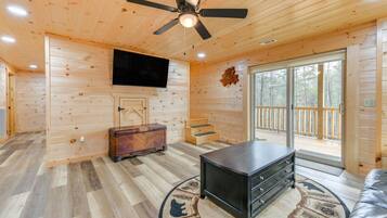 电视、壁炉、电子游戏、DVD 播放器