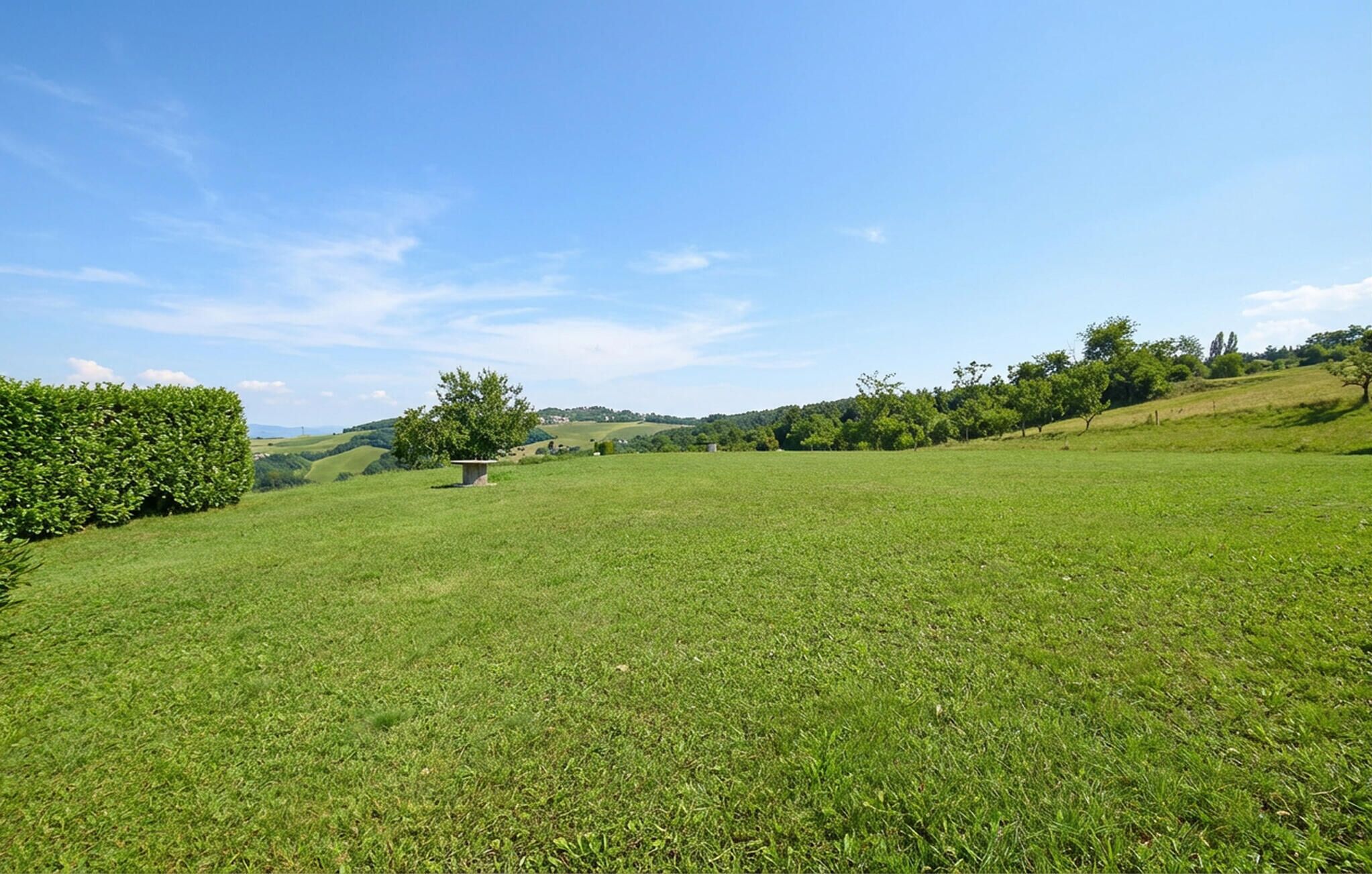 Ein grasbewachsenes Feld mit einer Hecke links, einem Baum in der Mitte und einer hügeligen Landschaft im Hintergrund.