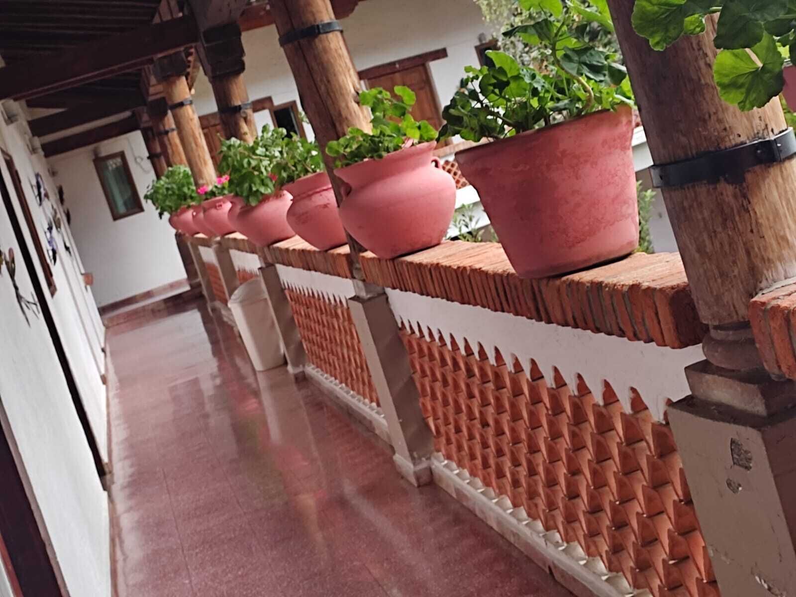 A corridor with a series of terracotta planters on a wooden railing, leading to a room with a tiled floor.