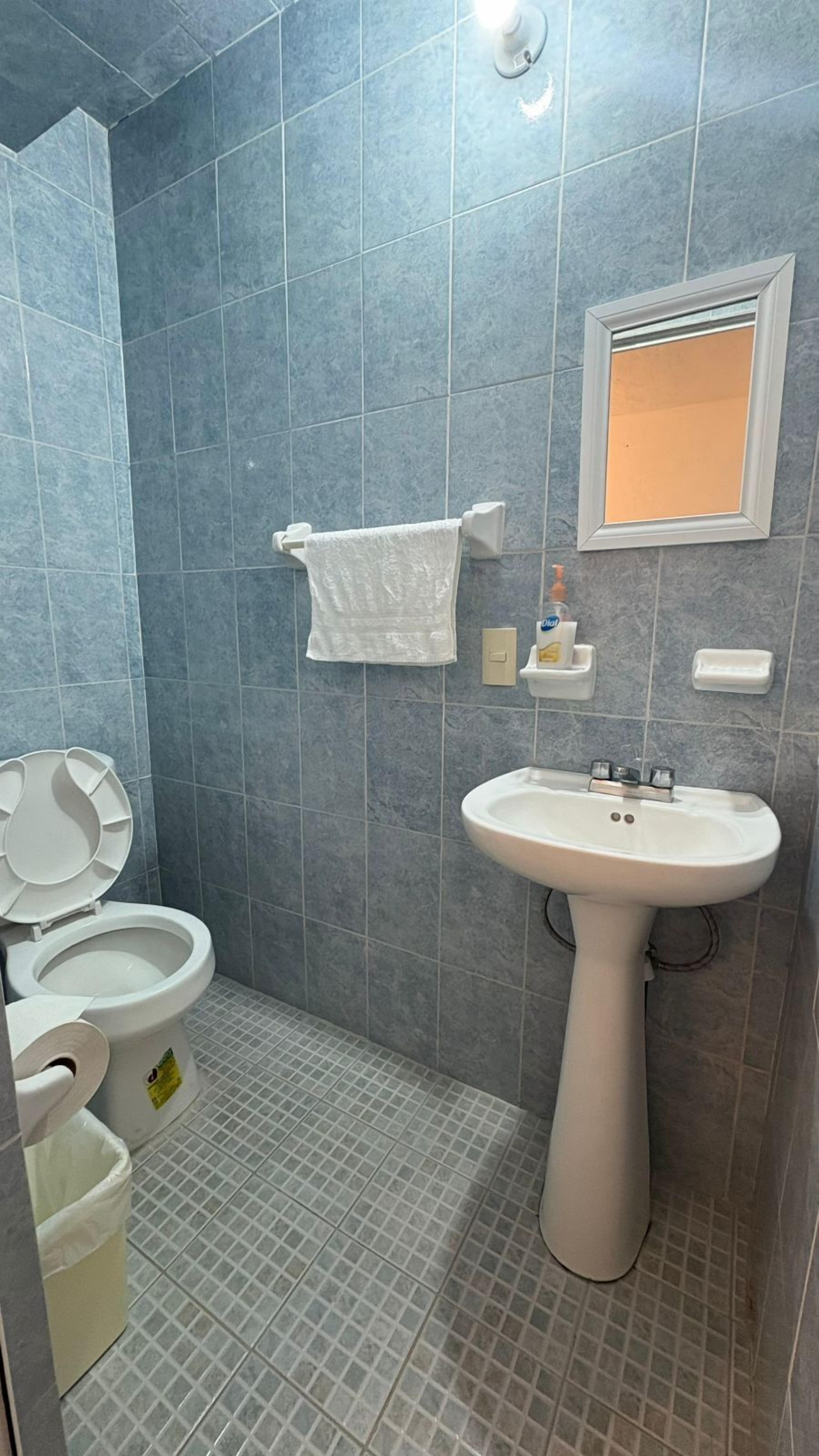 Un baño con inodoro, lavabo y espejo.