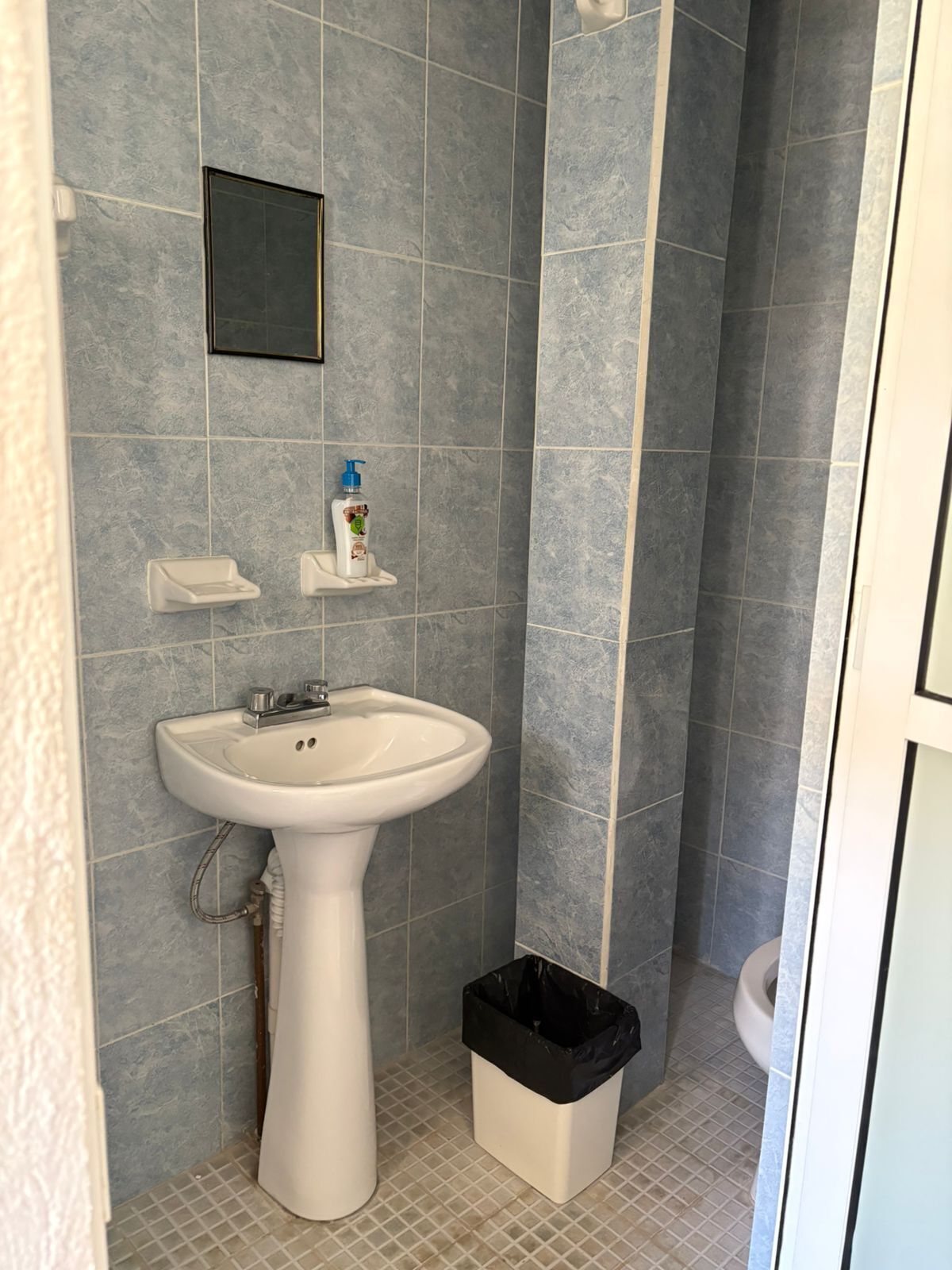 Et badeværelse med et pedestalvask, en lille hylde med toiletartikler, en sort skraldespand og et toilet.