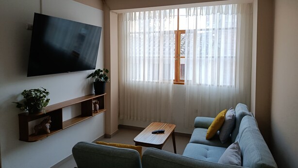 Un salon moderne avec un téléviseur à écran plat fixé au mur, un canapé avec des coussins, une table basse et une plante en pot.