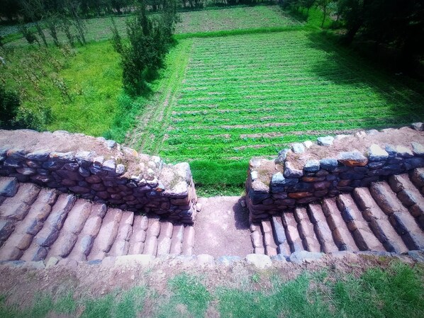 A stone staircase leading to a green field with trees in the background.