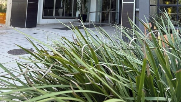 A modern building entrance with a sign reading "ZAIDAI".