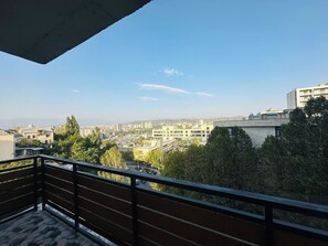 Terrace/patio - Sunny Panorama Apartment Tbilisi (Tbilisi)