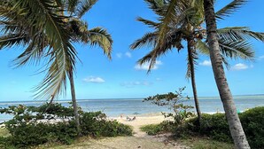 Ein Strandweg, der zum Meer führt, mit Palmen und blauem Himmel.