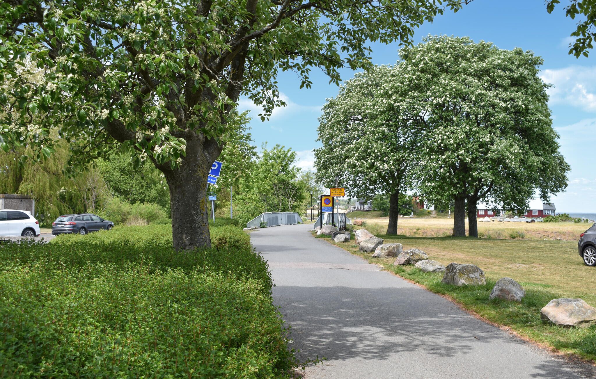 A paved pathway alongside a road with cars parked on the side.