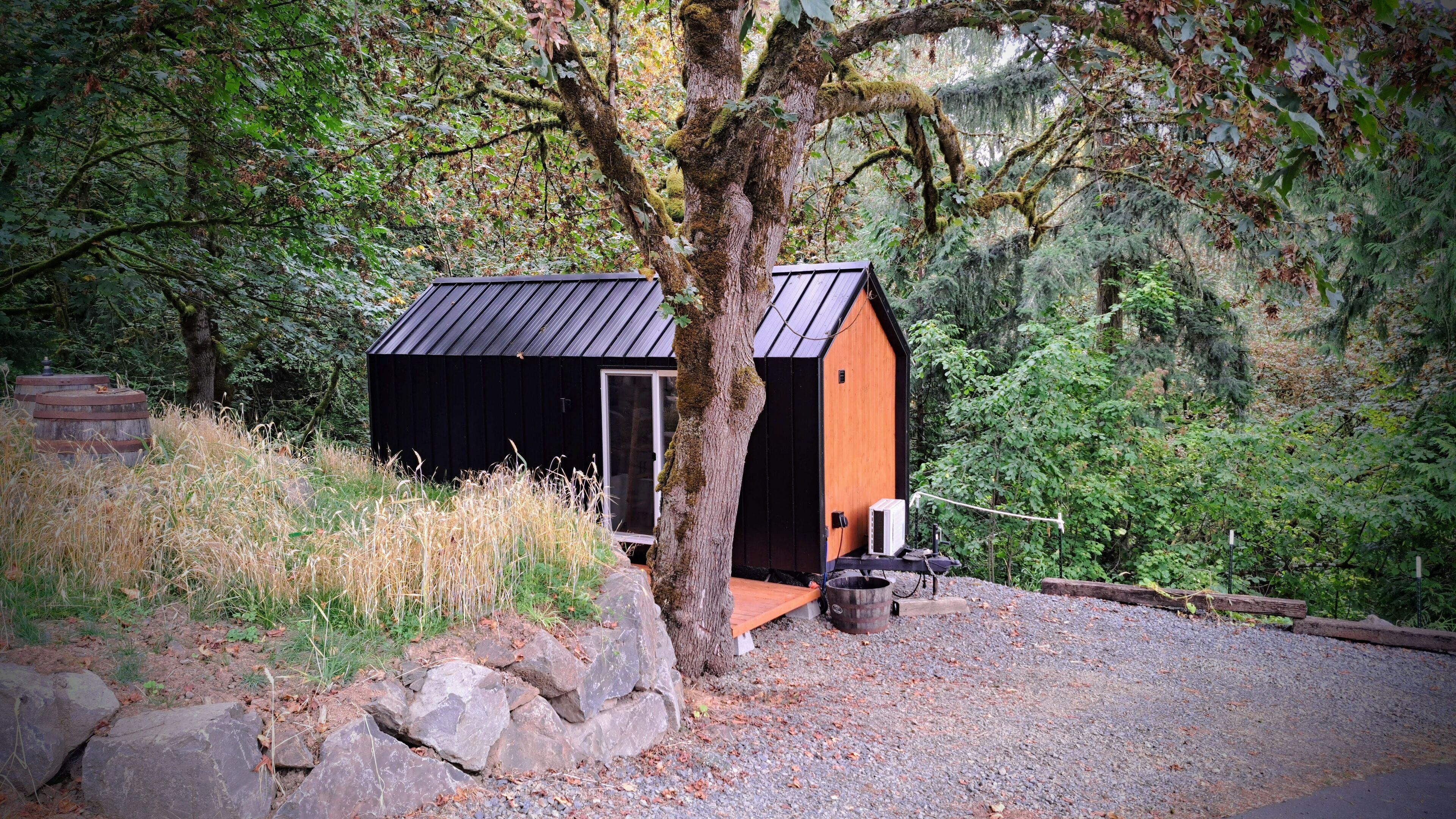 A small, rustic cabin with a metal roof, surrounded by dense forest.